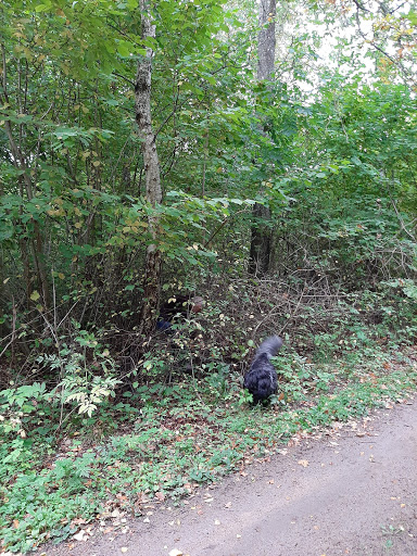 Gulastorp - Thumbnail