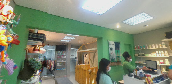 The Dog Spa