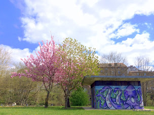 Photo n°1 de MJC d'Auboué à Auboué (Association ou organisation)