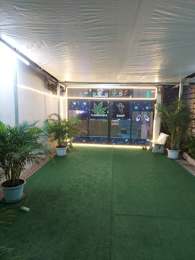 To the Sky Cannabis Shop