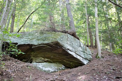 Photos of Little Pine State Park