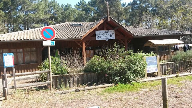 Surf Club de la Presqu'ile