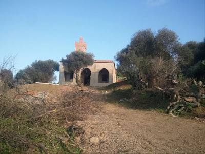 Photos of مسجد قشاوشة