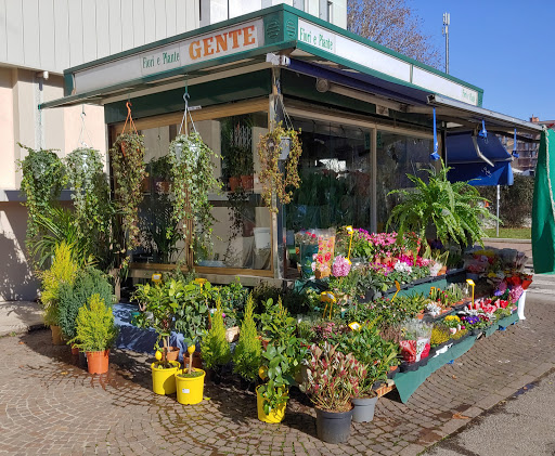 Fiori E Piante Gente