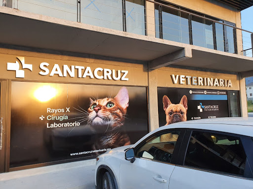 SANTACRUZ VETERINARIA CUMBRES