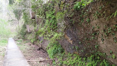 Davis Memorial State Nature Preserve