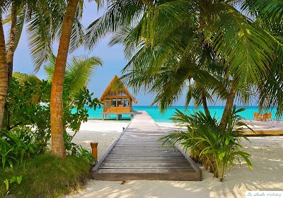 Photos of Sri Lanka Holiday
