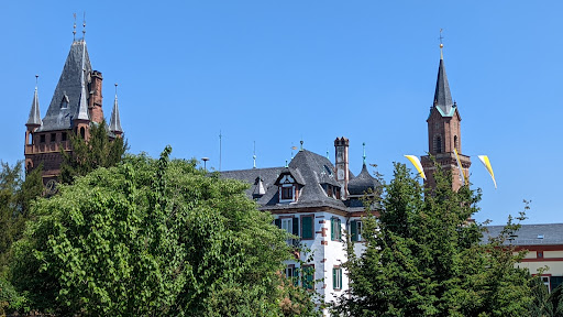 Schlosspark Weinheim - Thumbnail