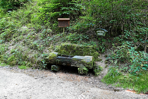 Kandern, Wilhelm Kopp Brunnen - Thumbnail