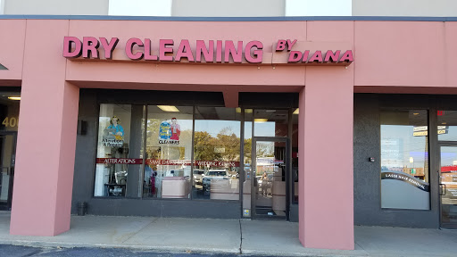 Dry Cleaning By Diana Logo