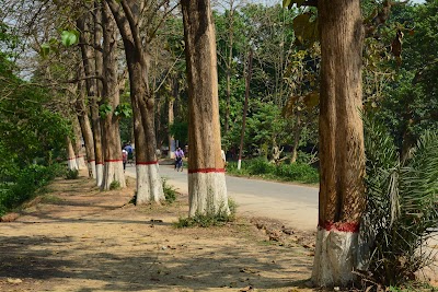 Photos of Al Beruni cafe