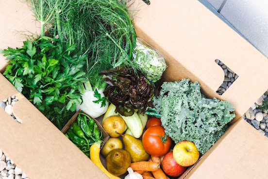 FEED Cooperative by null