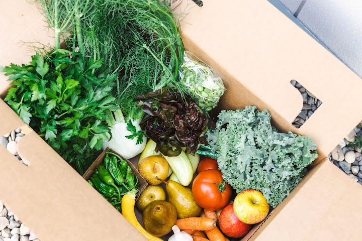 FEED Cooperative by null