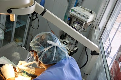 Photos of Clinica Veterinaria La Huella (Bormujos)