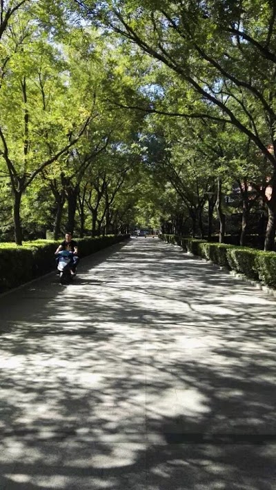 Photos of Beijing Sport University