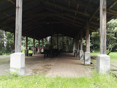 Photos of Grecia Forest Reserve - Children's Forest