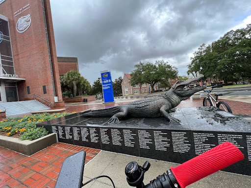 Ben Hill Griffin Stadium - Thumbnail