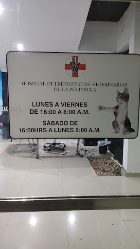 Hospital de Emergencias Veterinarias de la Península - Thumbnail