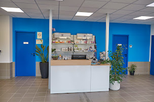 Photo n°3 de Clinique vétérinaire Vallée de l'Isle à Neuvic sur l'Isle (Vétérinaire)