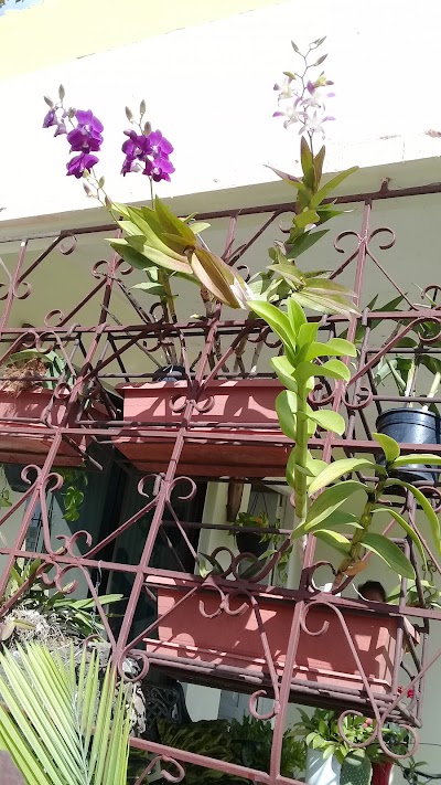 Photos of Villa Hermoza