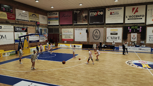 ABC Castelfiorentino Basket - Thumbnail