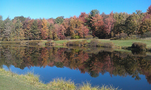 Kellystone Park Campground - Thumbnail