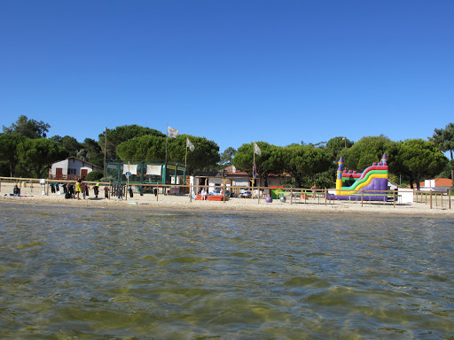 Photo de Ecole de natation Les P'tits Nageurs à Carcans (33121)