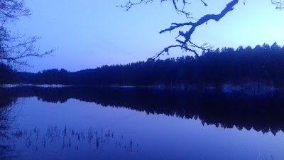 Photos of Viitna nature trail