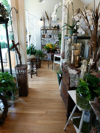 Lavender Hill - Visual