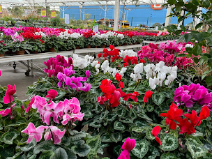 Photo n°11 de VillaVerde Rocchietta La Garde à La Garde (Animalerie)