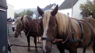 Photos of Myeifelreiterhof