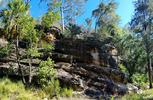 Carnarvon Gorge camping area, Carnarvon National Park - Thumbnail