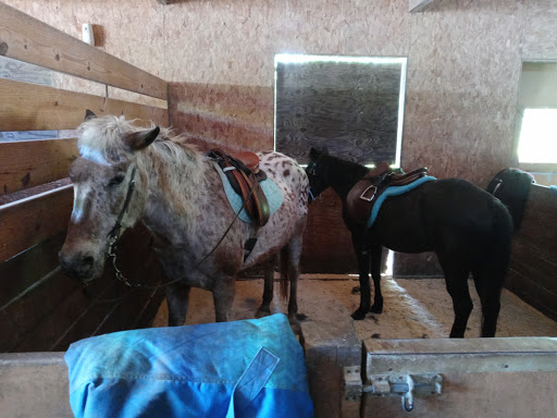 Wildwood Farm, Inc. - Thumbnail