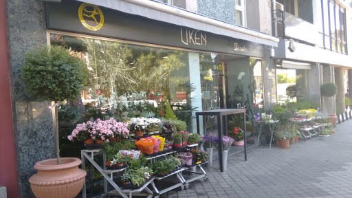 Liken - Visual