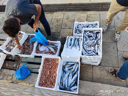 Fischereihafen - Visual
