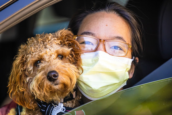 PAWS Atlanta by null