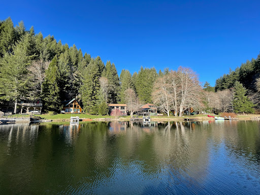 Fishhawk Lake Real Estate - Gayle Rich-Boxman REALTOR John L. Scott Market Center - Thumbnail