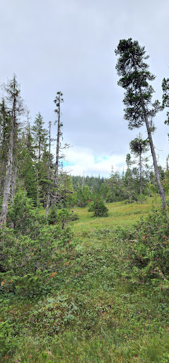 Beaver Falls Karst Trail - Thumbnail