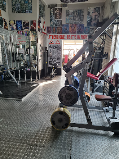 Hammer Gym Gallery - Italy