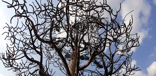 Baltų vienybės medis