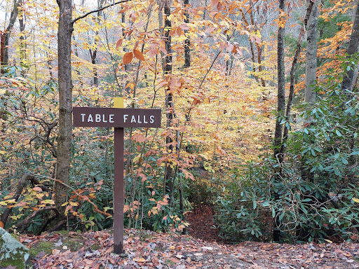 Table Falls - Visual
