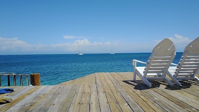 Photos of Bay Islands College of Diving