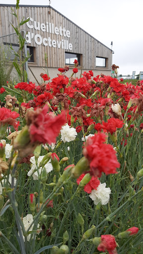 Cueillette et Boutique d'Octeville- Ferme