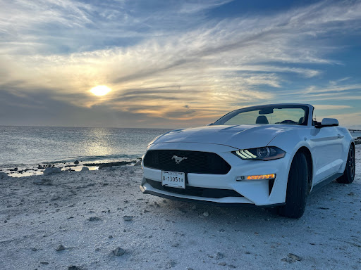 FG Company Car Rental Gallery - Netherlands
