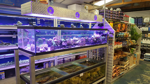 Emerald Bay Fish & Reptile - Thumbnail