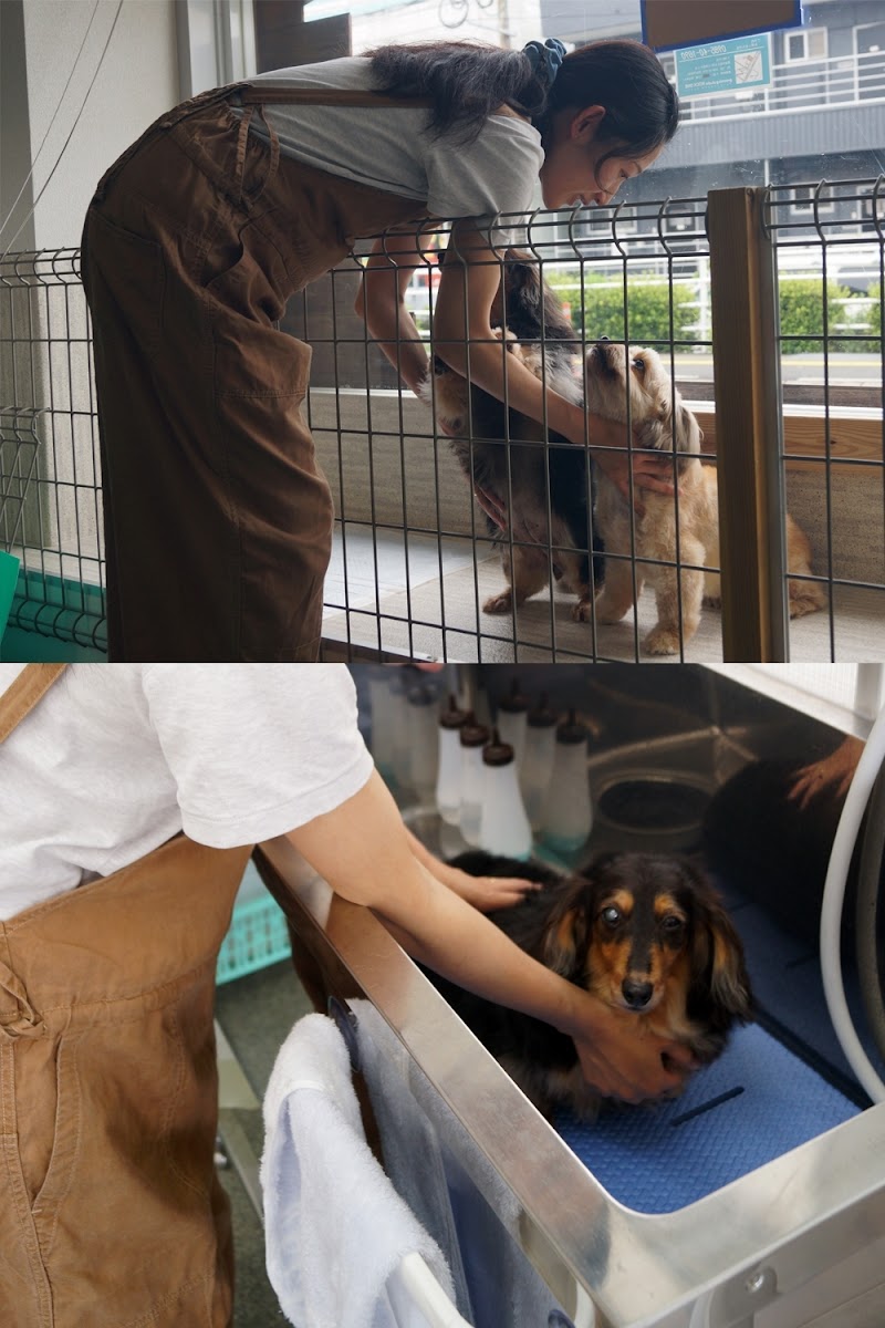 grooming studio ROCK ONE（グルーミングスタジオ ロックワン）