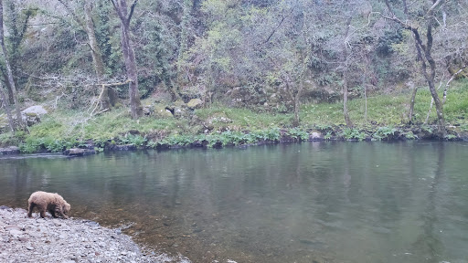 Seoane - Visual