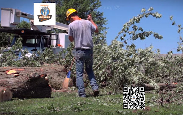 Genesis Tree Service Leesburg