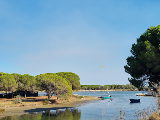 BOIS DE L'ESPIGUETTE (Les Baronnets) - Thumbnail