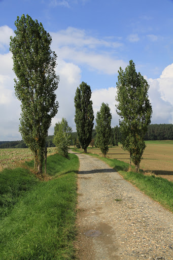 Kirche Hohndorf - Thumbnail